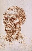 LEONARDO da Vinci Study of an old man Sweden oil painting artist